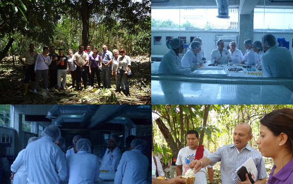 El cacao venezolano se luce entre los  futuros chocolateros internacionales